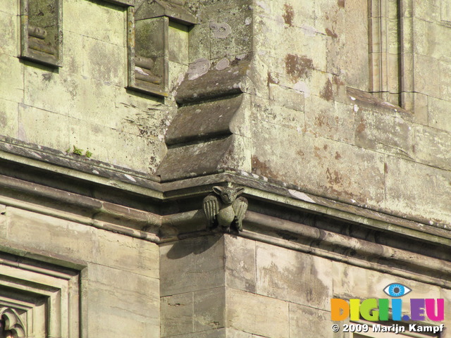 SX09856 Gargoyle on Margam Castle